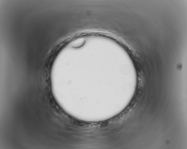 X0000116841494201001151236