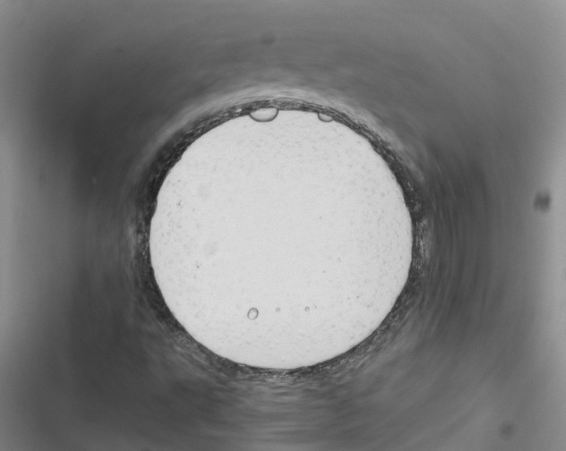 X0000116841495201001151236