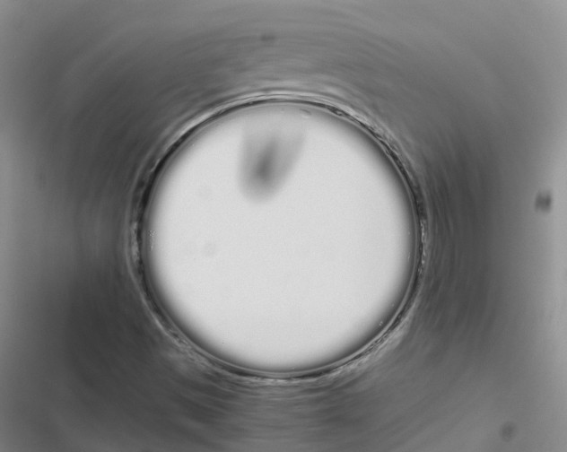 X0000116841497201001151236