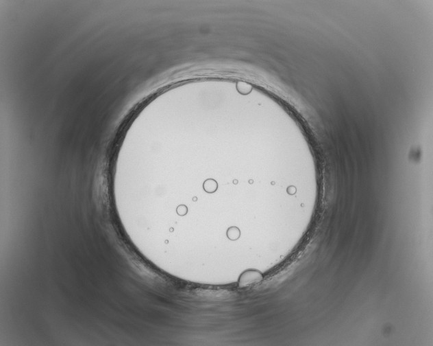 X0000116841498201001151236