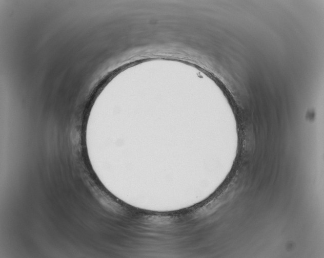 X0000116841499201001151236