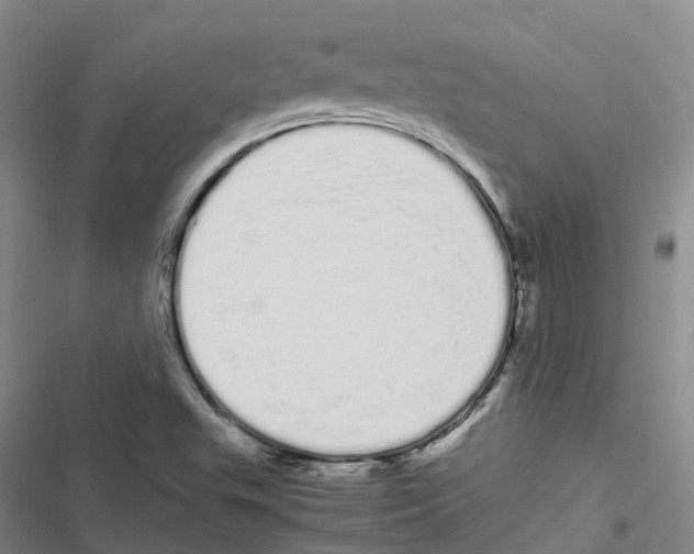 X0000116841503201001151236