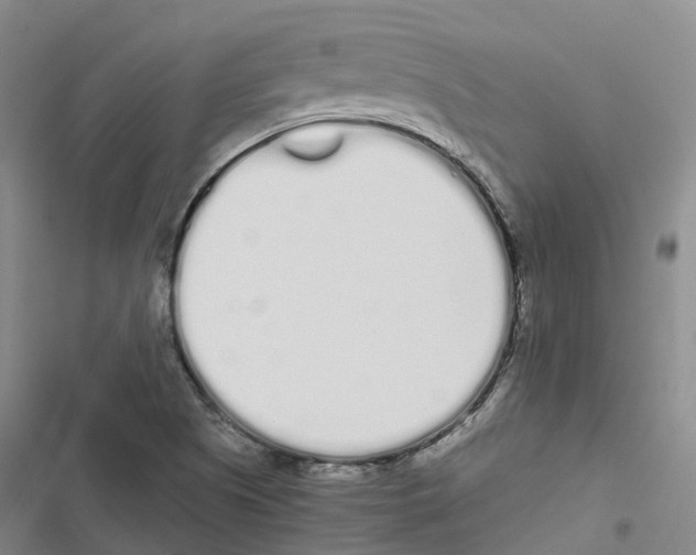 X0000116841505201001151236