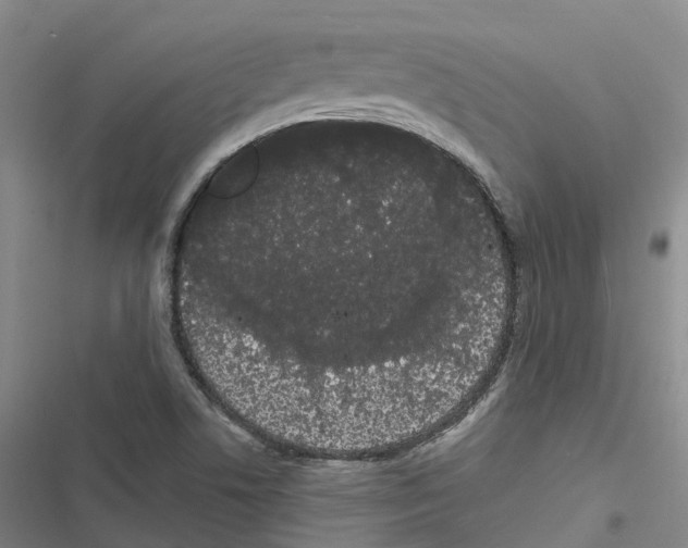 X0000116841506201001151236