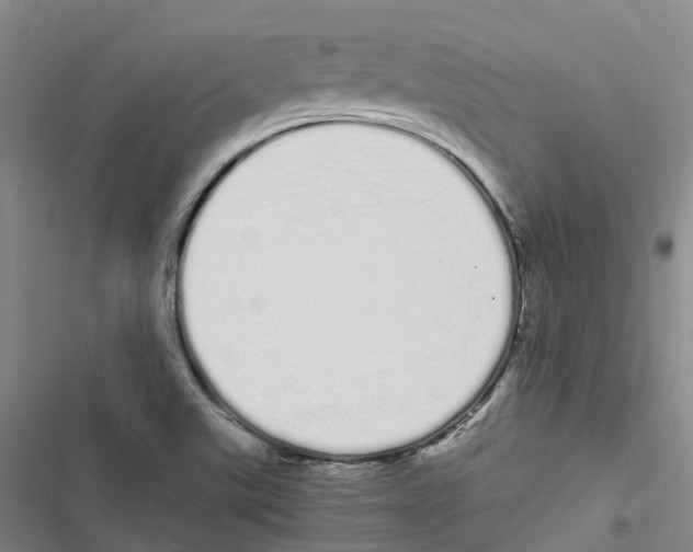 X0000116841507201001151236