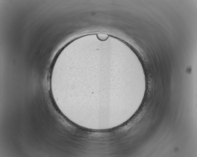 X0000116841510201001151236