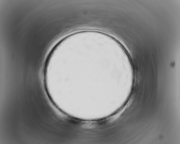 X0000116841511201001151236