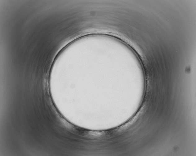 X0000116841513201001151236