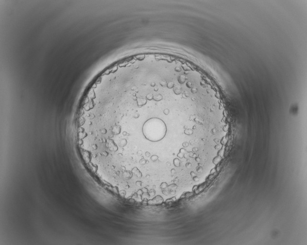 X0000116841514201001151236