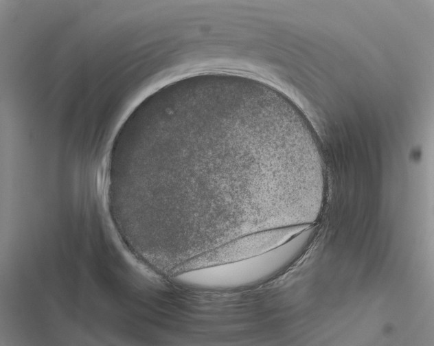 X0000116841515201001151236