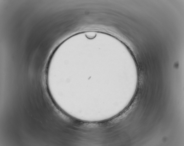 X0000116841517201001151236