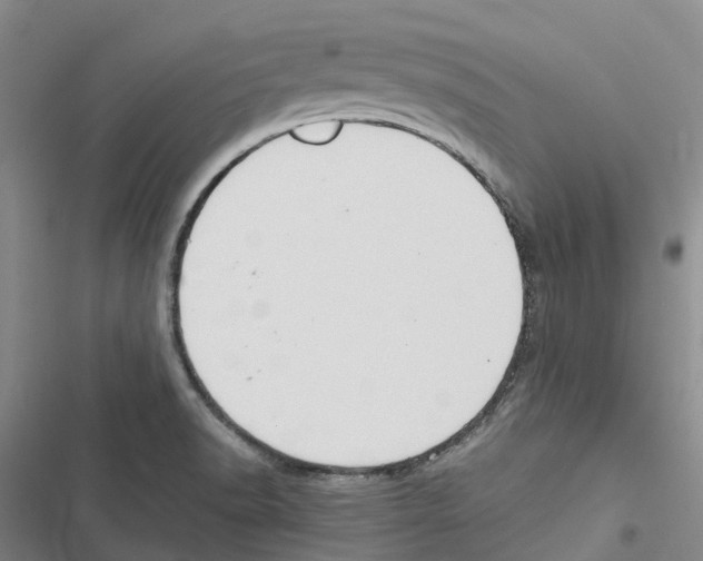 X0000116841518201001151236