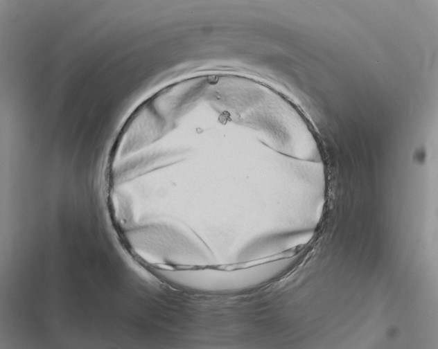 X0000116841519201001151236