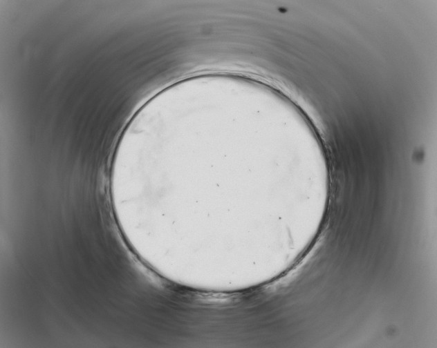 X0000116841521201001151236