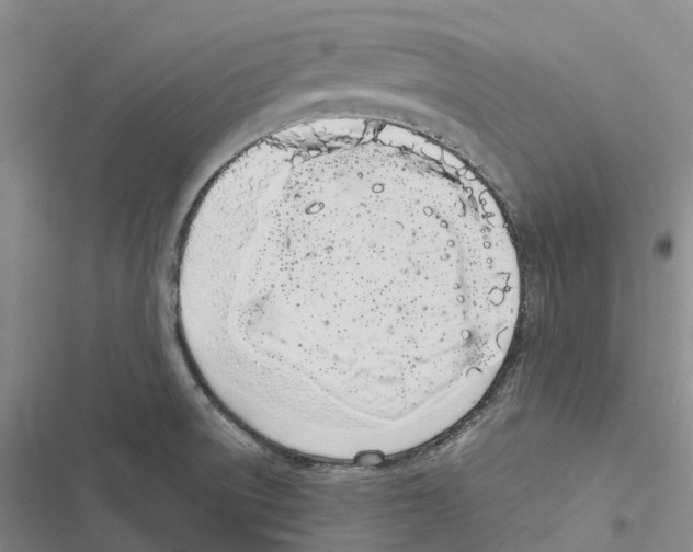 X0000116841522201001151236