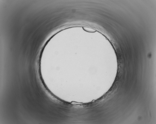 X0000116841523201001151236