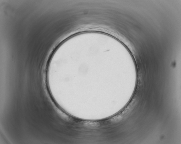 X0000116841525201001151236