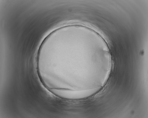 X0000116841527201001151236