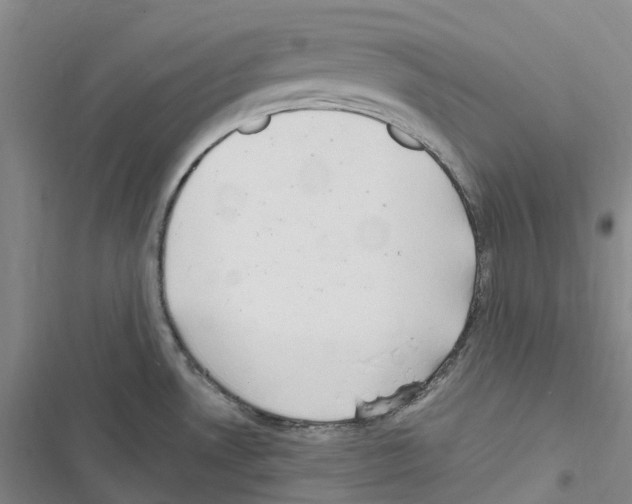 X0000116841530201001151236