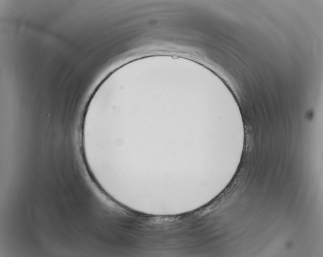 X0000116841531201001151236