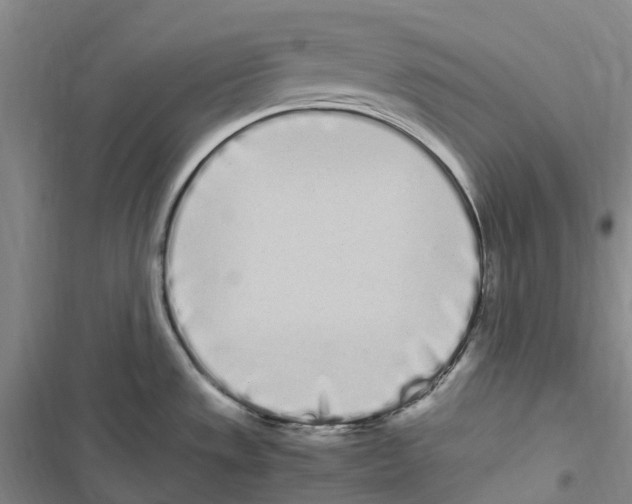 X0000116841533201001151236