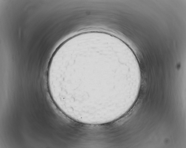 X0000116841534201001151237