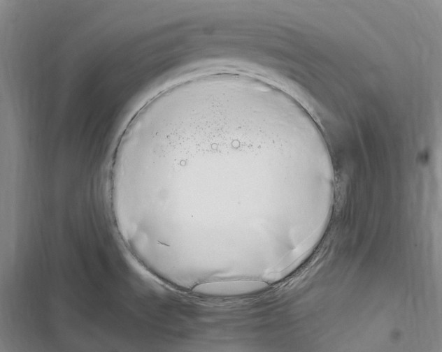 X0000116841535201001151237