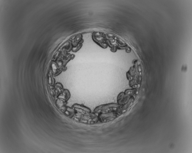 X0000116840001201001291714