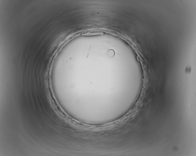 X0000116840002201001291714