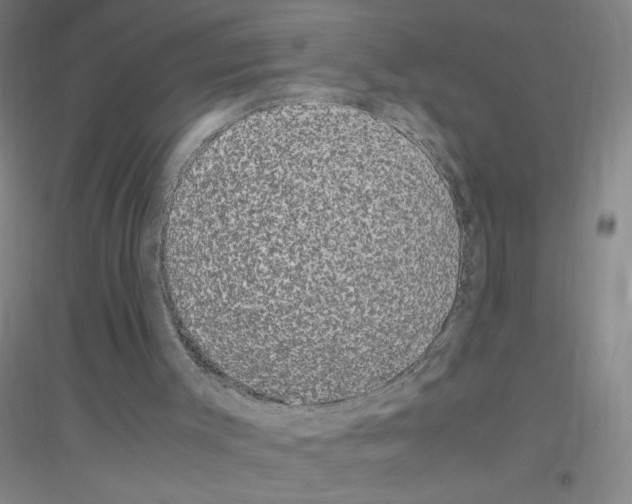 X0000116840003201001291714