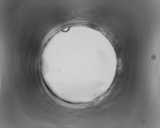X0000116840004201001291714