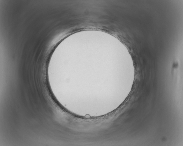 X0000116840005201001291714