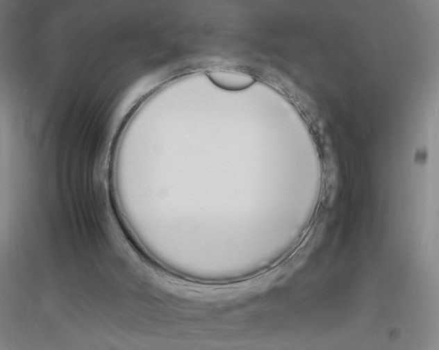 X0000116840006201001291714