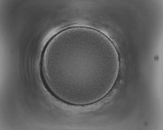 X0000116840007201001291714