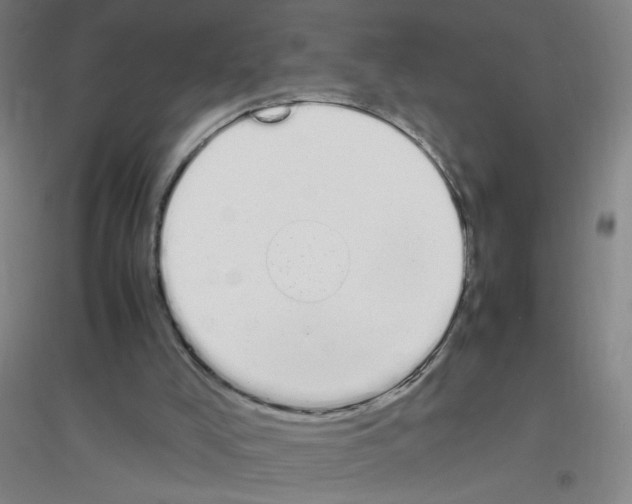 X0000116840008201001291714