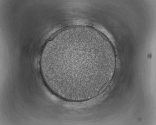 X0000116840009201001291714