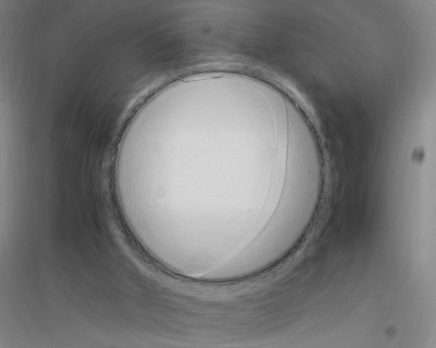 X0000116840010201001291714