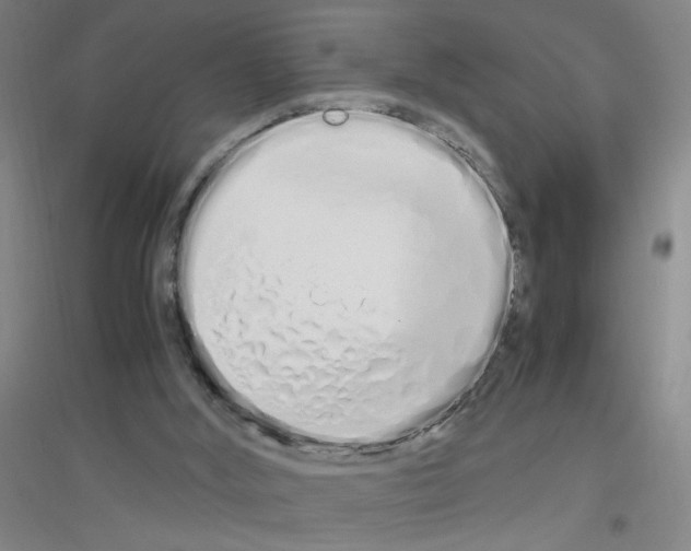 X0000116840012201001291714