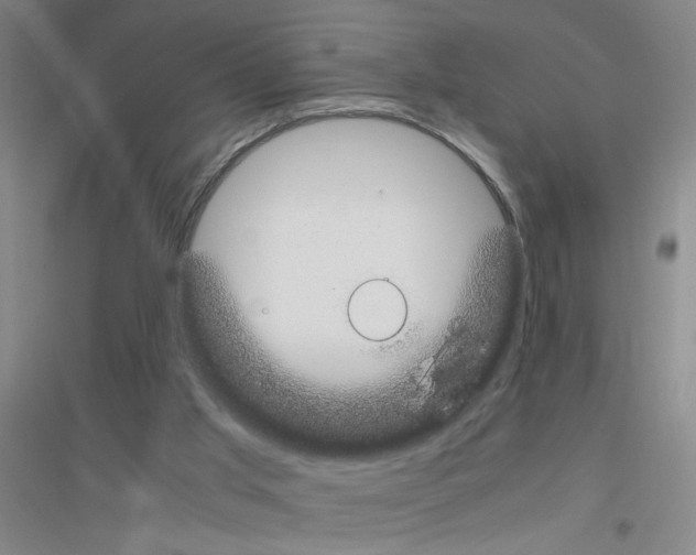 X0000116840013201001291714