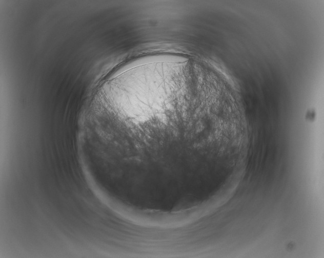 X0000116840014201001291714