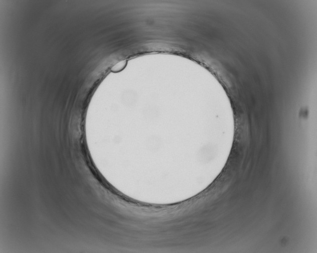 X0000116840015201001291714