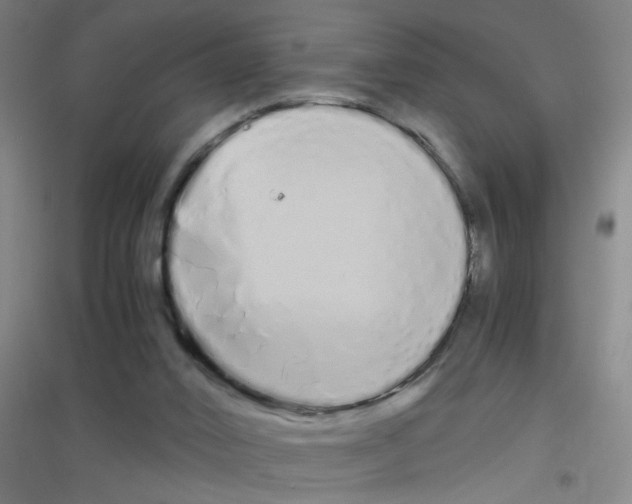 X0000116840016201001291714