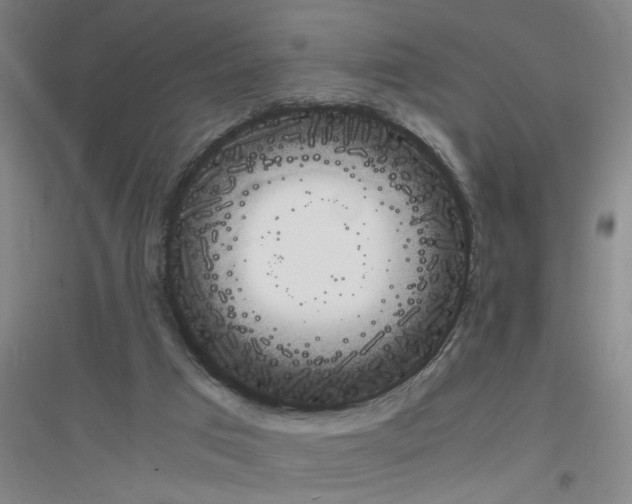 X0000116840017201001291714