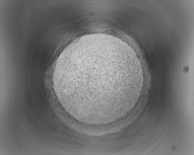X0000116840018201001291714