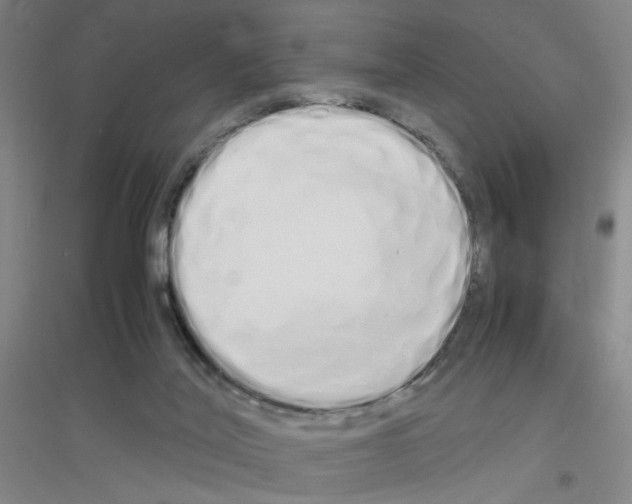 X0000116840020201001291714