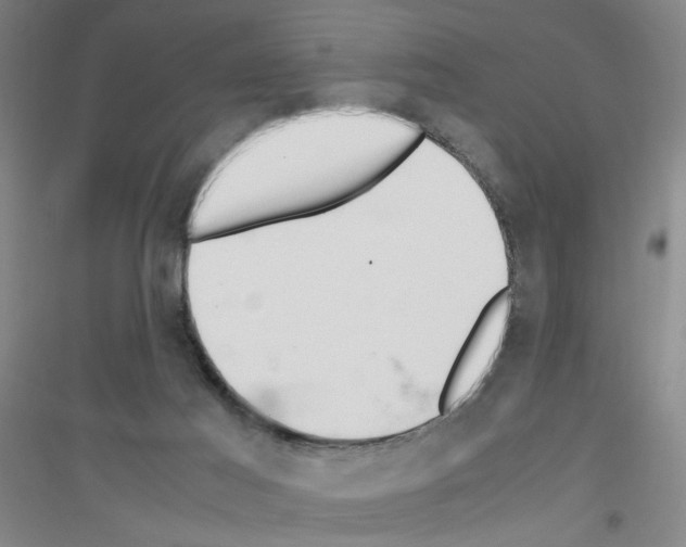 X0000116840021201001291714