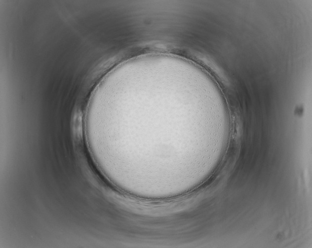 X0000116840022201001291714