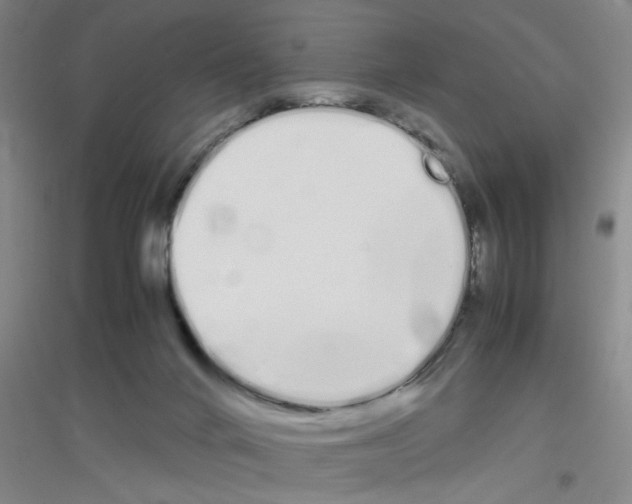 X0000116840024201001291714