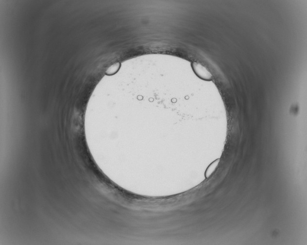 X0000116840025201001291714