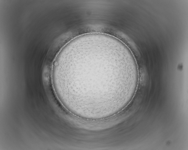 X0000116840026201001291714